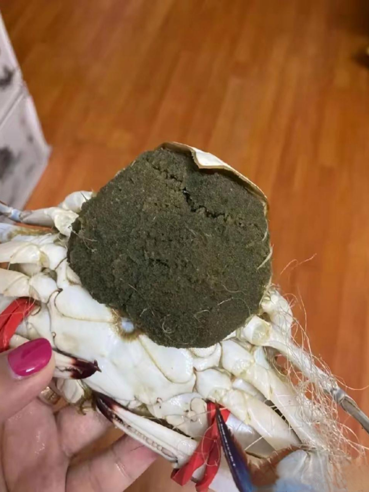    最近浙江梭子蟹大量上市，可女儿去菜场买菜却被坑了。老板帮忙挑的，拿回来发现