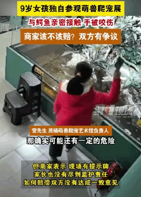近日，深圳一名九岁女孩独自买票进入萌宠爬展区，一个勇敢过头的九岁小女孩，本来开开