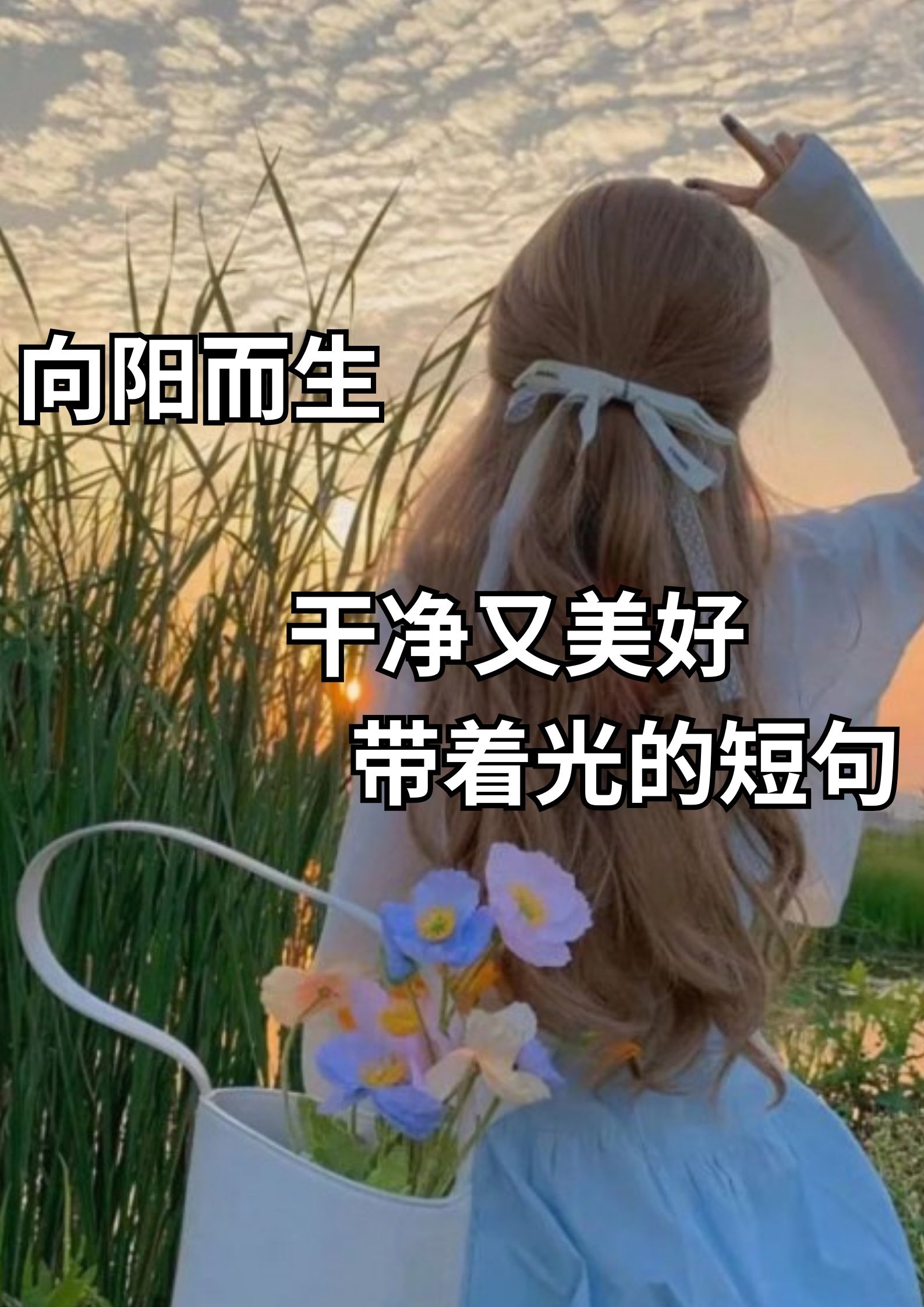 向阳而生，干净又美好带着光的短句！