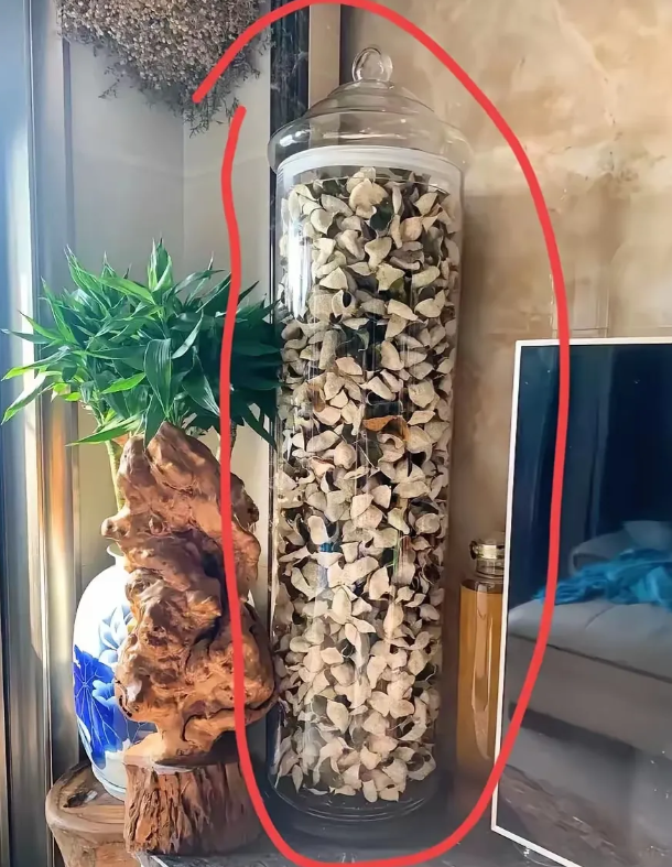 去亲戚家，他说电视旁这罐陈皮，
价值1000多万，
可以在上海市中心买套房了，