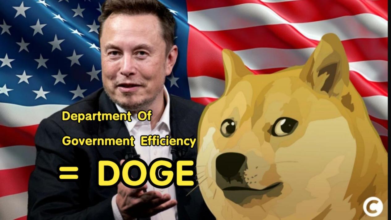 鲸鱼巨额入场！DOGE能否逆袭触底反弹，突破新高？