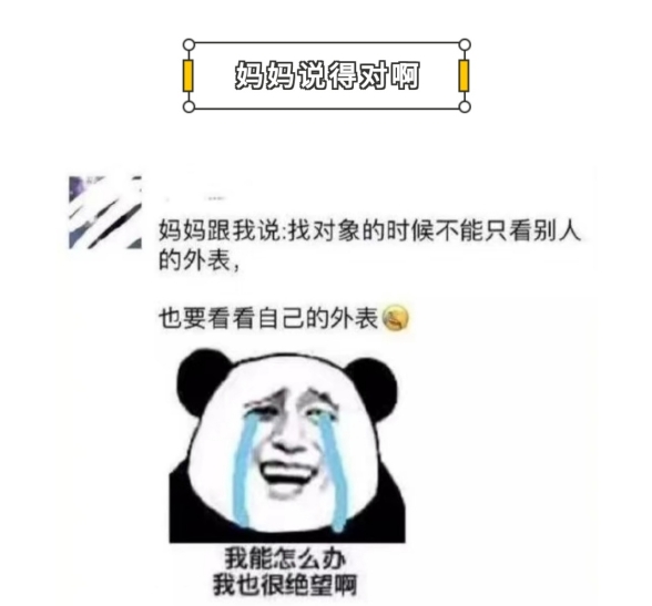 妈妈说得对啊
