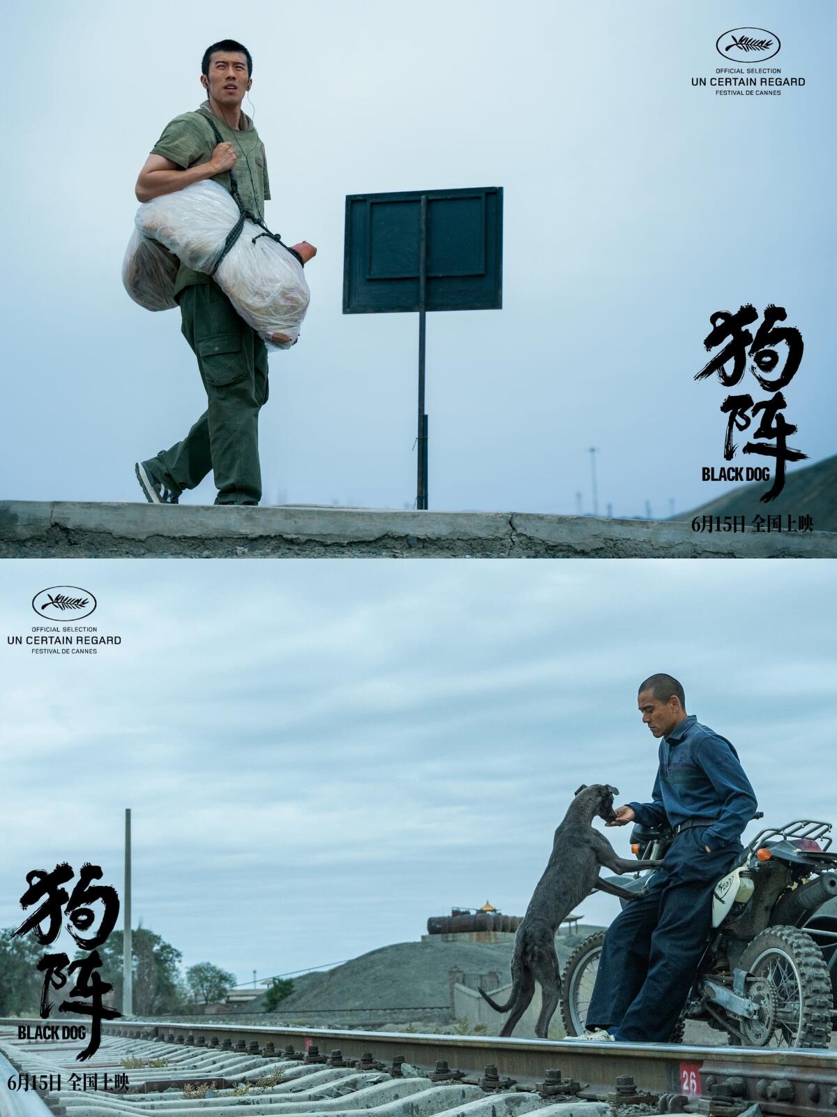 狗阵：彭于晏带你走进西北小镇