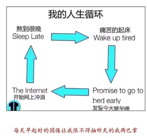我的人生循环