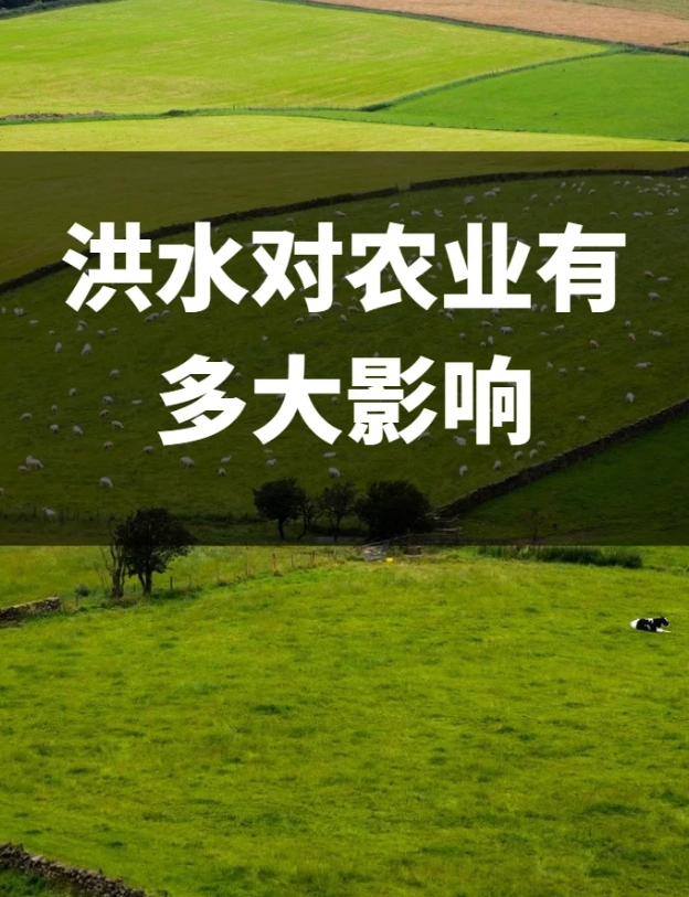 洪灾可能对粮食产量和供应造成以下影响：

农田受损： 洪水可能导致农田淹水和泥沙