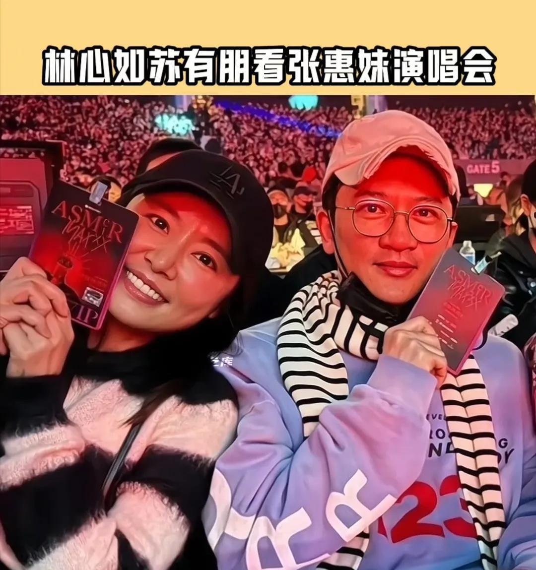 近日，林心如与苏有朋一同现身张惠妹在台北大巨蛋举办的演唱会，林心如身着黑白格子毛