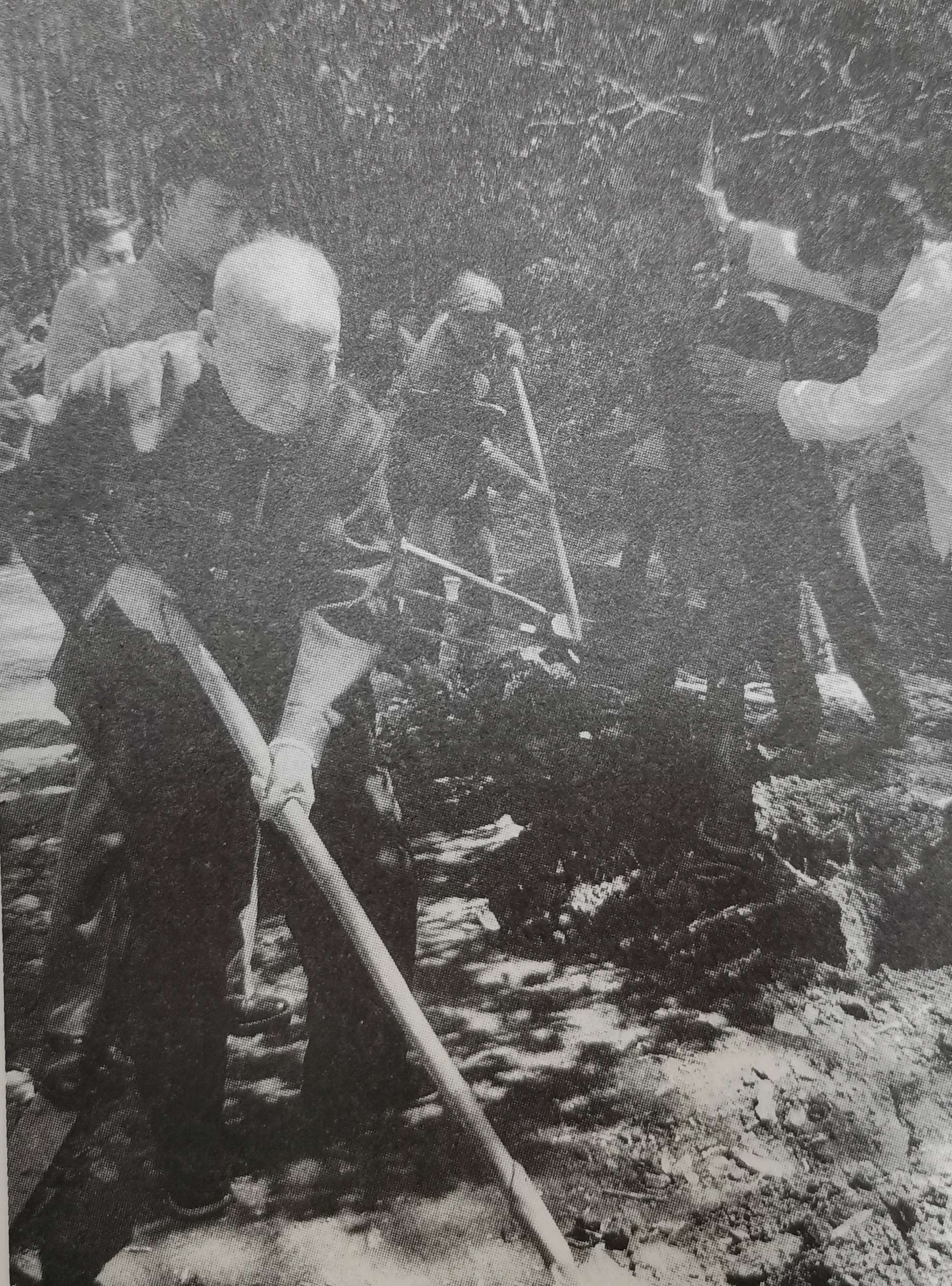 1987年，82岁高龄的陈云，专门来到杭州西郊植树。警卫员劝他戴上帽子，陈云却坚