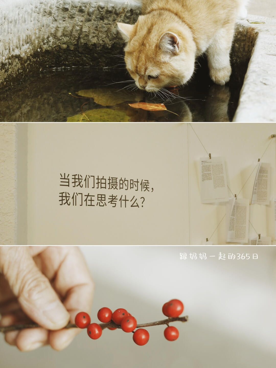 跟妈妈一起的365日｜我眼中的秋色是彩色的
