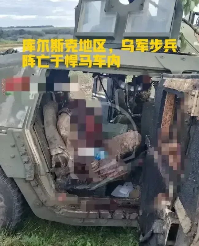损失迅速加大！库尔斯克州战斗，乌军装备和人员均遭受重大损失。美国《福布斯》刊物报