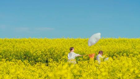 宝宝审美能力，自然发展还是刻意培养？