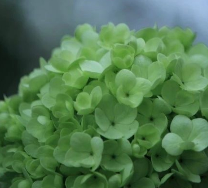 4、巨蟹座Cancer（6.22-7.23）
今日与同事朋友相处时，需注意对方的