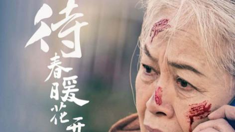 短剧在线观看《待春暖花开时》完整版（1-43集）全集