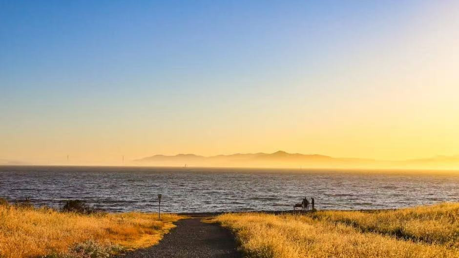 从《哪吒》悟透人生：多数人拼命半生，最后竟活成了“土拨鼠”？