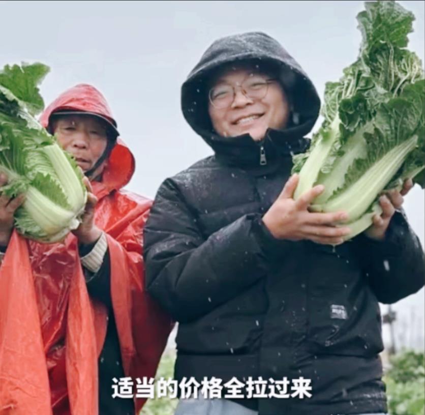活该他当老板！山东，男子请假回老家收白菜，不料，菜贩子收购价才1毛2一斤！老板得