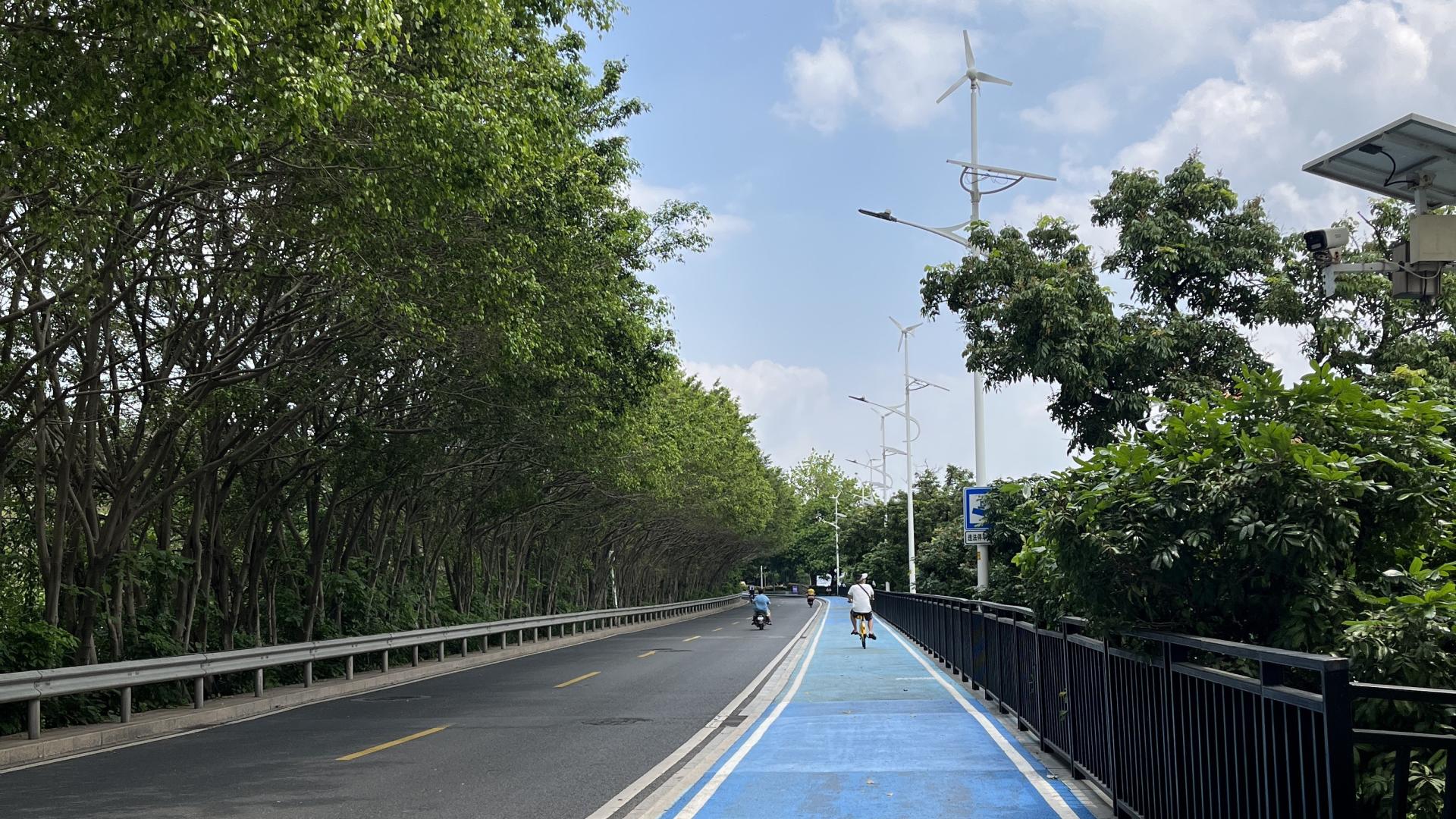 生物岛不晒超美骑行路线攻略|官洲地铁直达