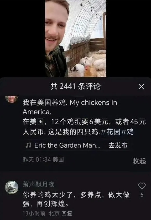 之前我看一个华人的贴子，她那里也是只允许养四只鸡（且仅限只能养母鸡），但是规定买