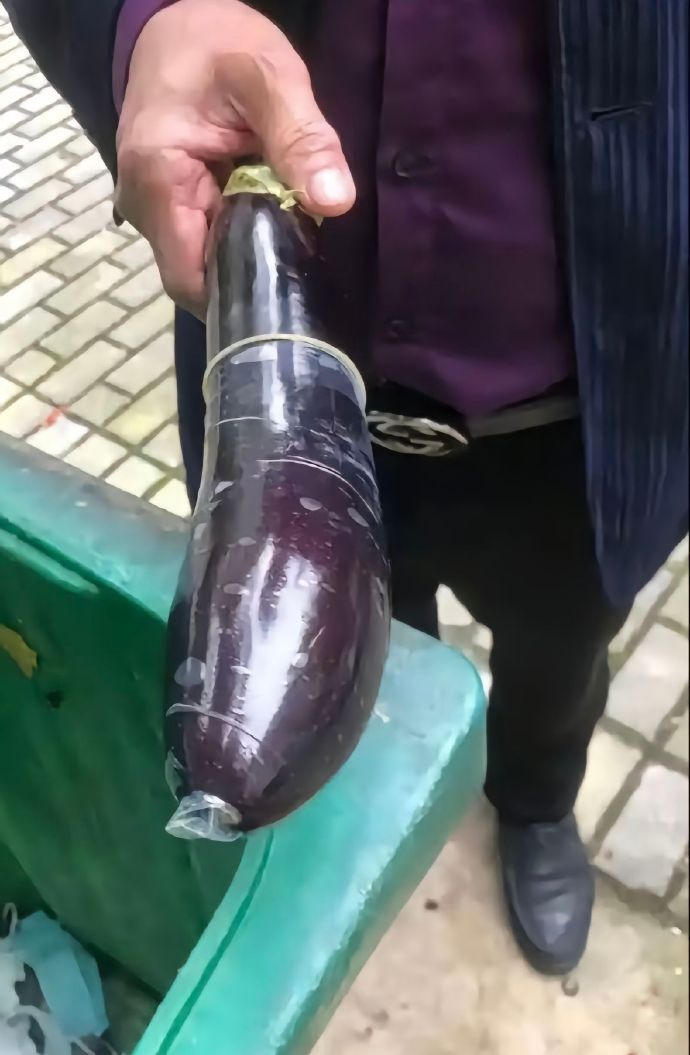 现在的人真是太浪费了，茄子的保鲜膜都还在就丢弃了...