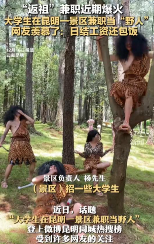 “大学生脑子就是好使！”昆明一景区招大学生兼职当“野人”，工资不仅日结而且还包饭