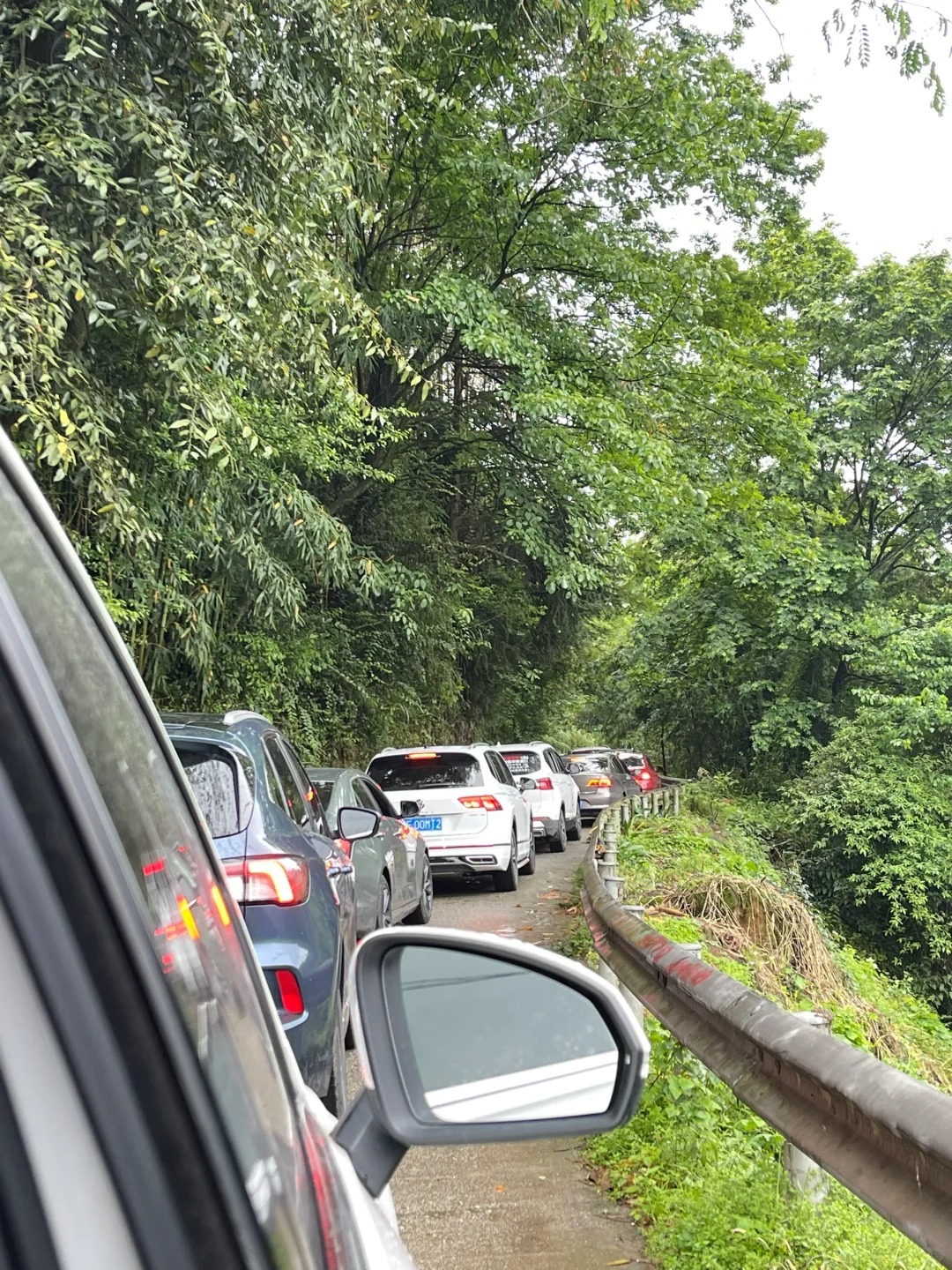 碧峰峡劝退！
满怀期待的来 你可是国家五A级景区啊 从雅安出发半小时的路程 我们