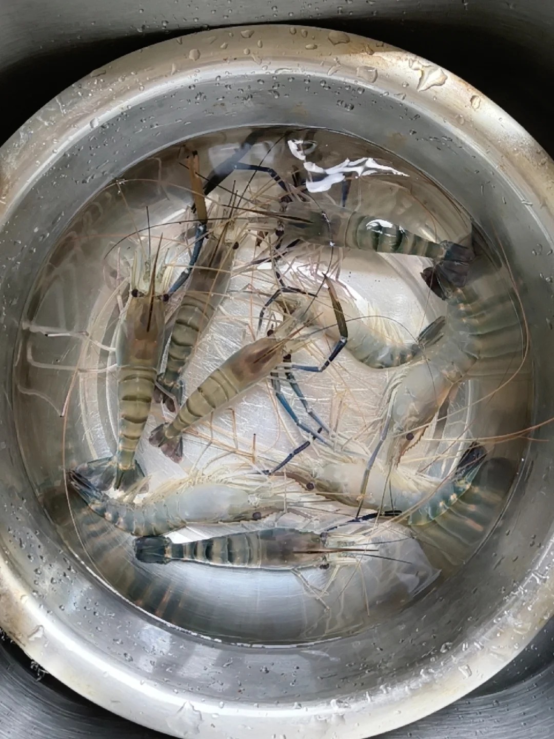 菜市场真的在驱逐年轻人
41块不到的虾，报价41，我想着能不能还价到40
结果阿