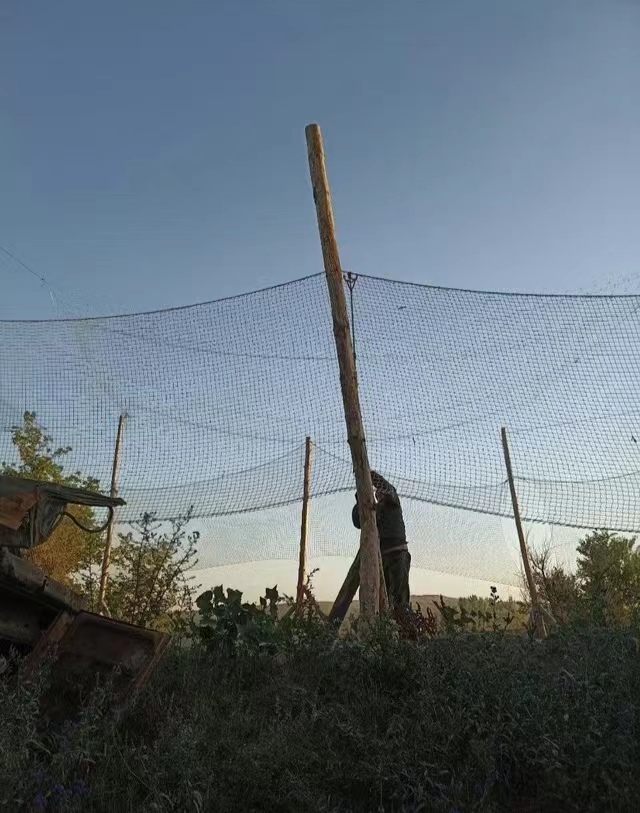 渔网好卖啊，俄罗斯军队开始在前线大量使用渔网，用圆木构建成防无人机屏障。这非常适