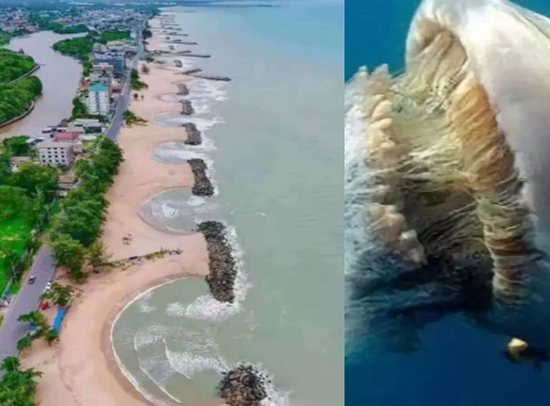 海边弄成这样，到底是什么意思呢？