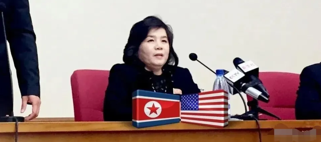 这回可真是热闹了！朝鲜外交部崔善姬女士，这回可是真发飙了，她直接通过朝鲜中央通讯