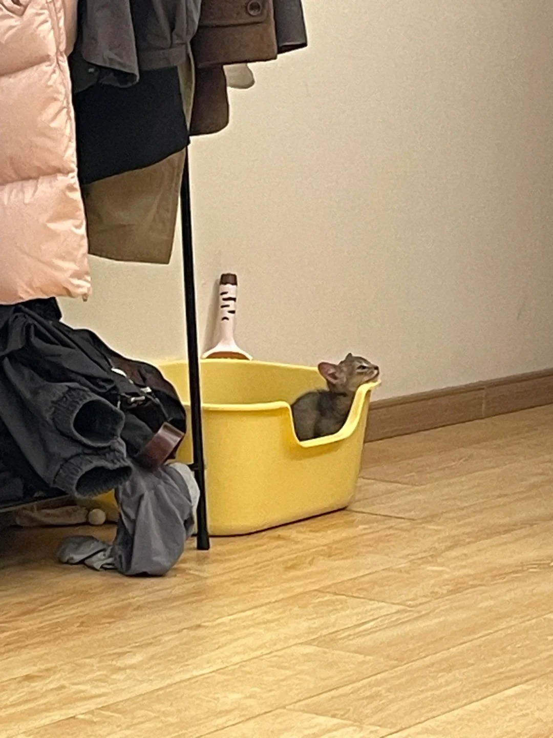 “我孩子可以当童模吗？”
是亲妈滤镜吗
他拉粑粑也好可爱