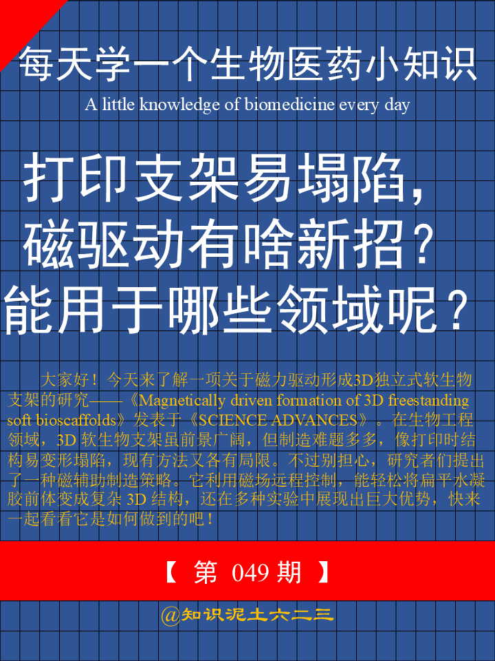 	大家好！今天来了解一项关于磁力驱动形成3D独立式软生物支架的研究——《Magn