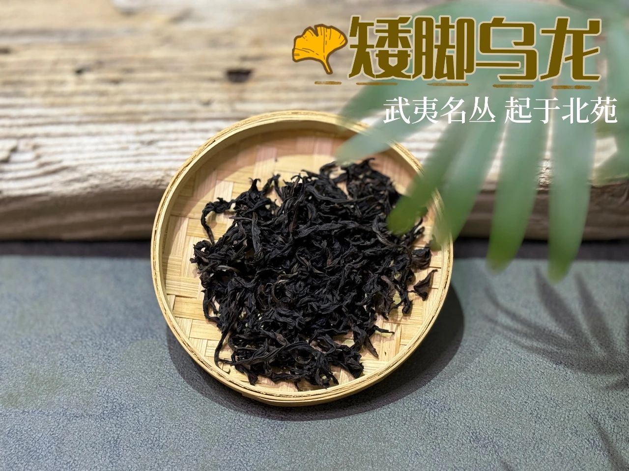 飘逸杯这么方便，为什么盖碗还是主流？