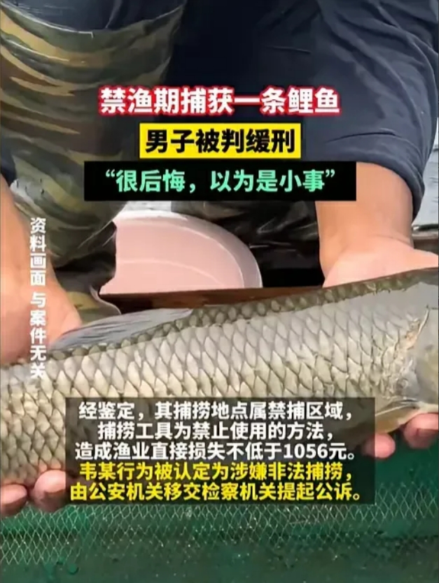“上纲上线？”四川自贡，男子在沱江边捕捞到一条鲤鱼，重约2.2斤。不料还没等男子