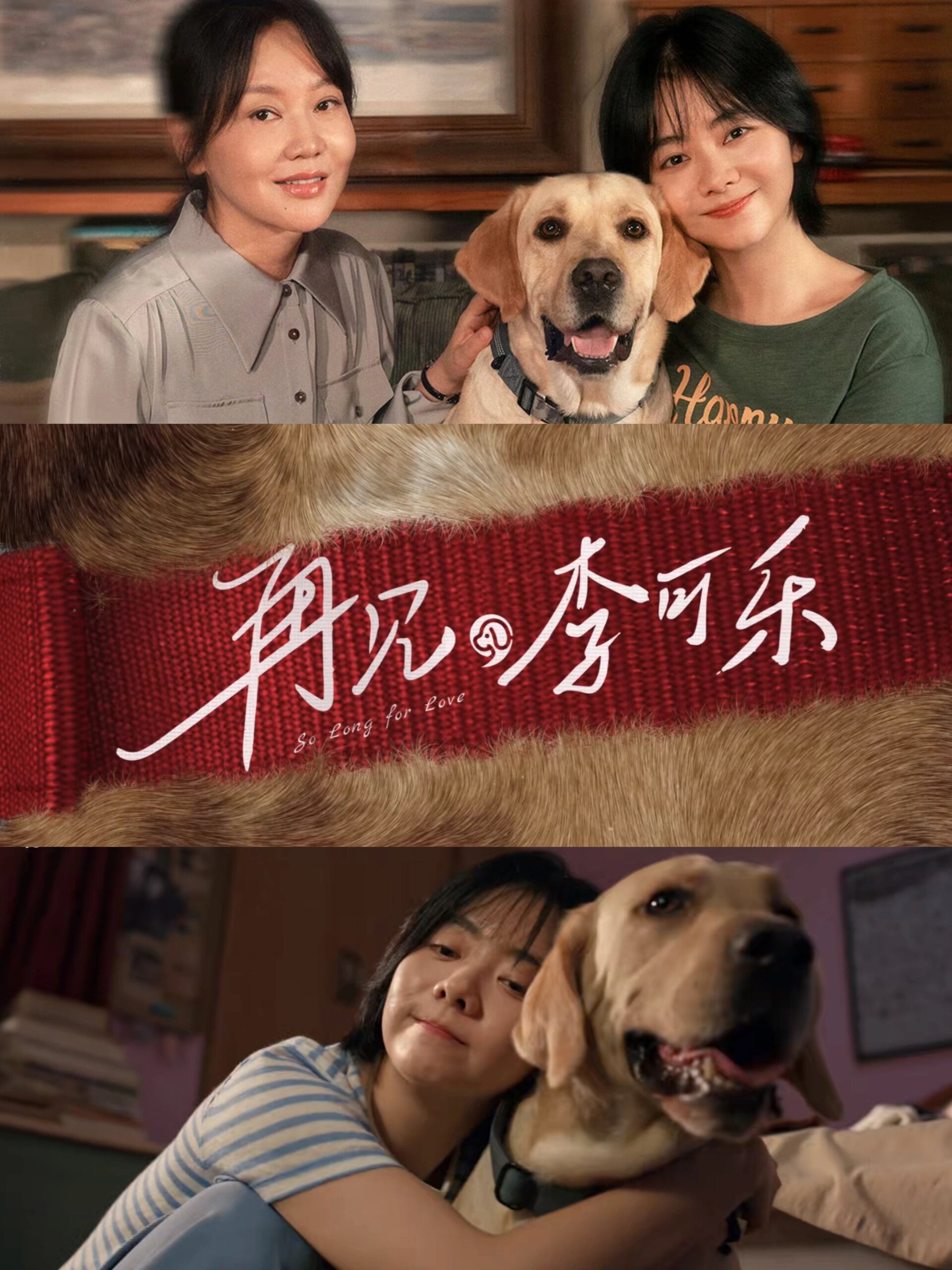 小狗！是万般不确定世界里唯一的确定