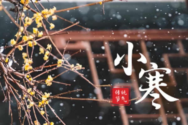 《说文解字》中说:“寒,冻也。从人在宀下。”“寒”的本义是寒冻、寒冷。
1月5日