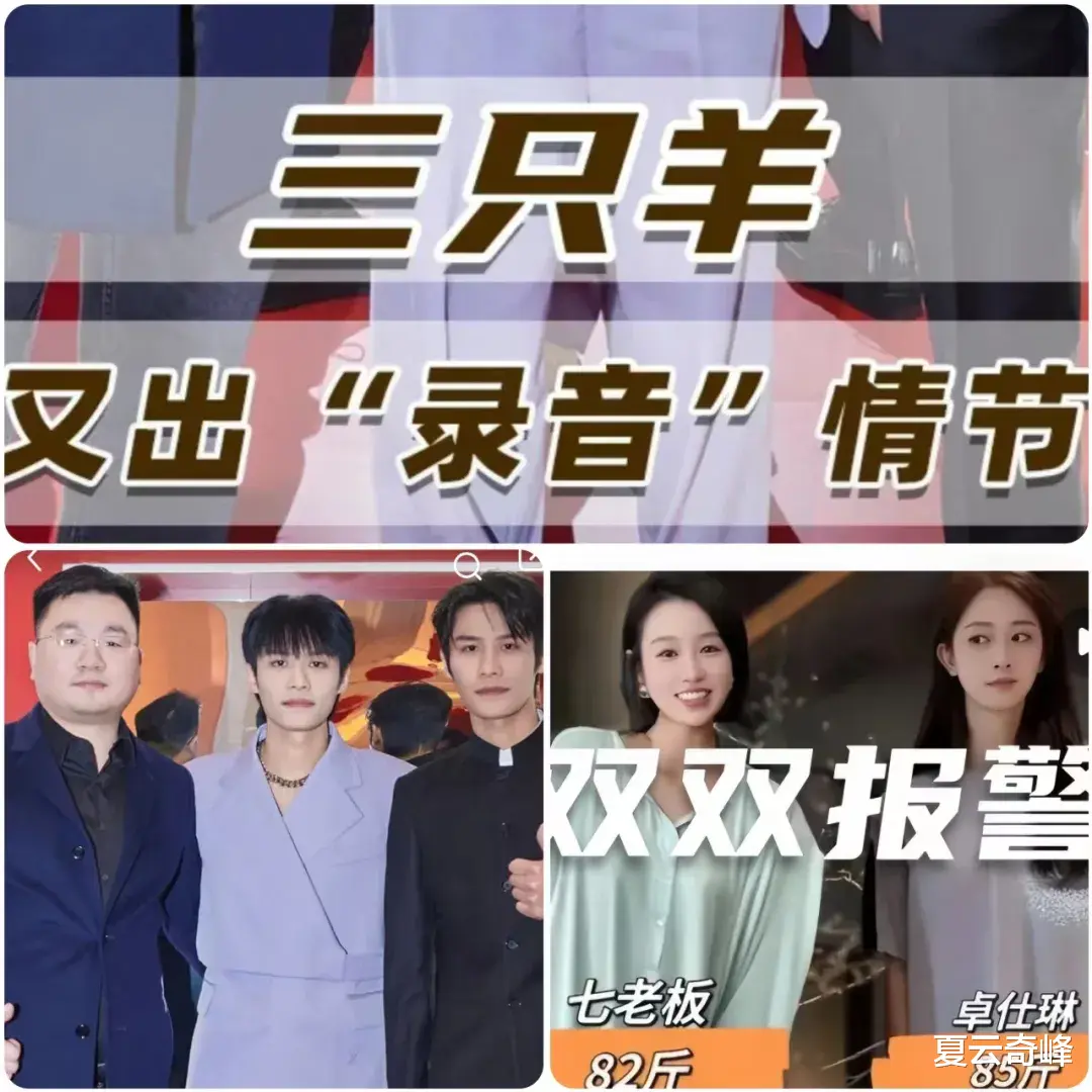 三只羊录音事件越演越烈（三只羊是谁）-第1张图片-九妖电影
