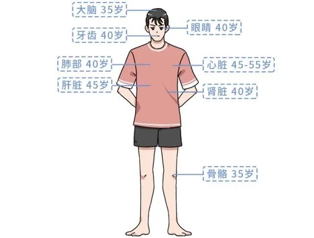 人类的寿命只能是100岁左右吗？ 