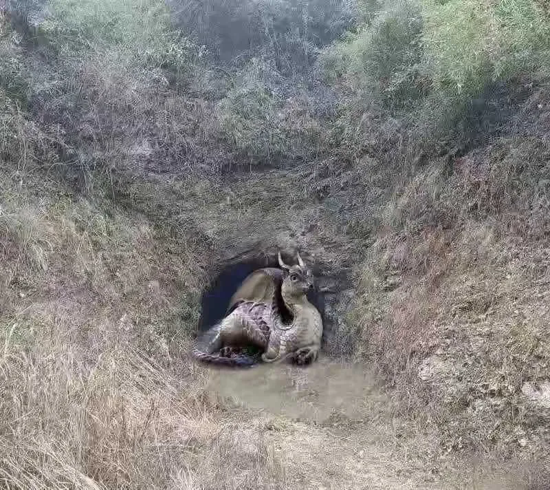 徒步时发现的，我该怎么办