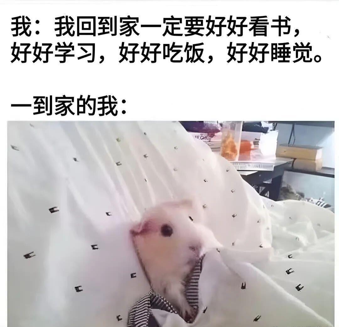 幽默趣闻：一到家的我！哈哈哈哈！