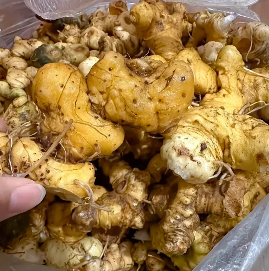 小叔子听说我怀孕了，从山上挖了一袋东西寄过来。打开一看，不就是姜吗？这里一斤才4