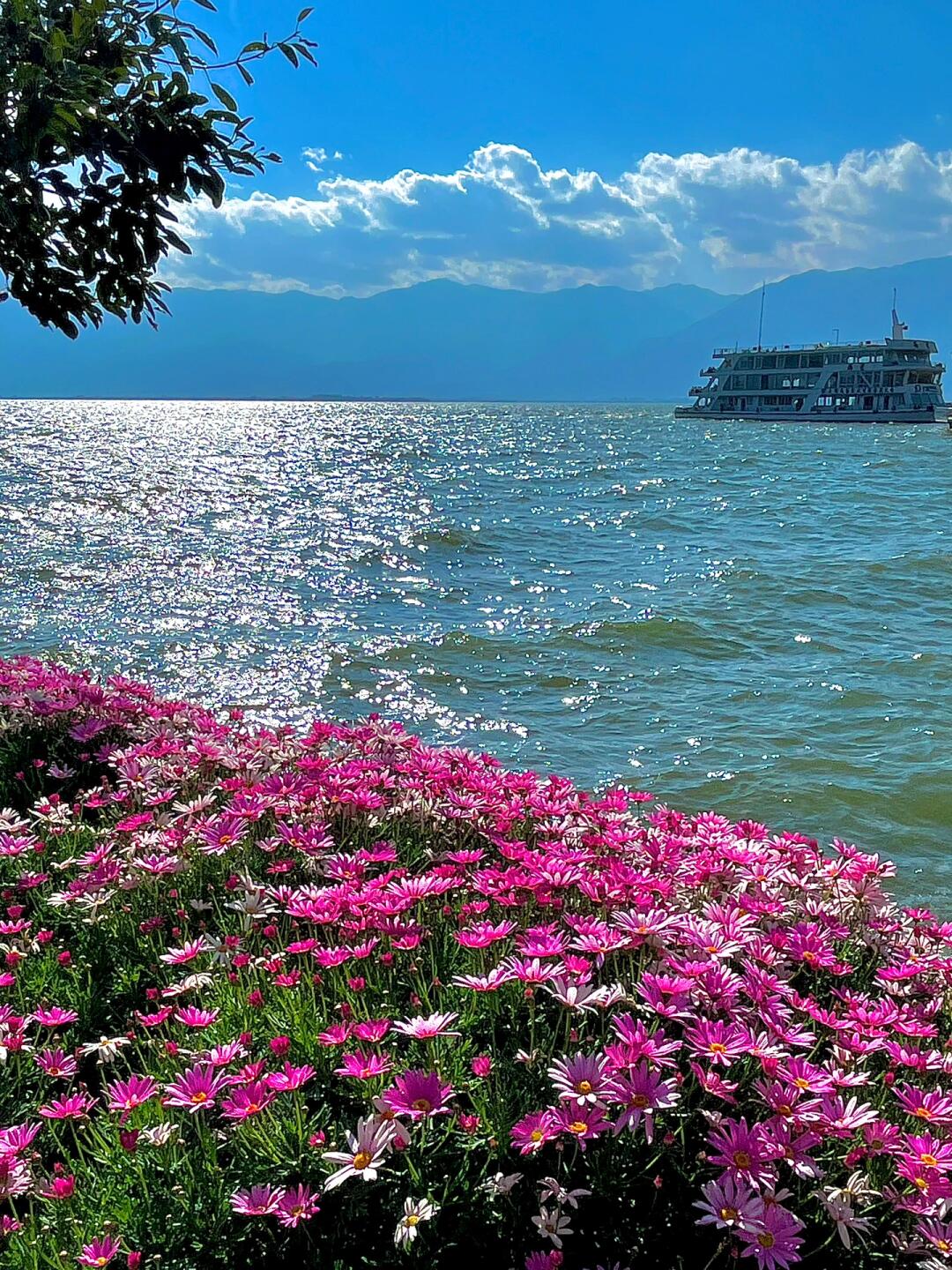 绝美❗️春天大理必拍的美景