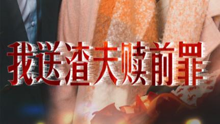 看短剧《我送渣夫赎前罪》完整版全集、在线观我送渣夫赎前罪（1-30集）