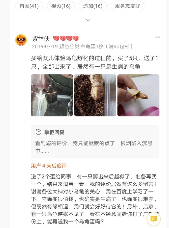 真是绝了啊