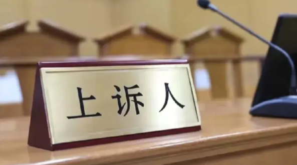 第一天下午庭审，第二天上午收到电子判决书。

昨天上午，我非常诧异的收到了一份一