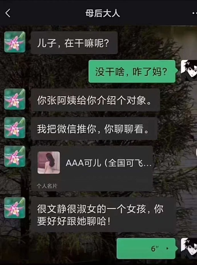 张阿姨介绍的对象感觉不错啊！