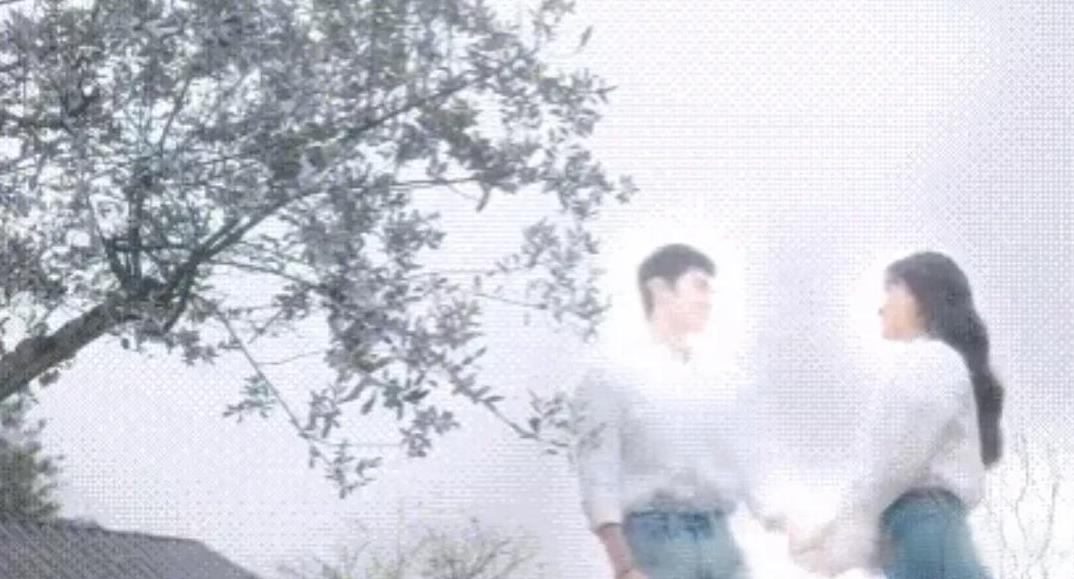 《白色橄榄树》迎来大结局，没有想象中的那么爆，豆瓣没有开分，但我目测应该会为5到