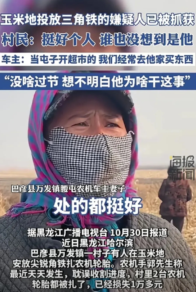 黑龙江巴彦县向玉米地里投放三角铁的嫌疑人抓到了，竟然是本村开超市的。

农机车主