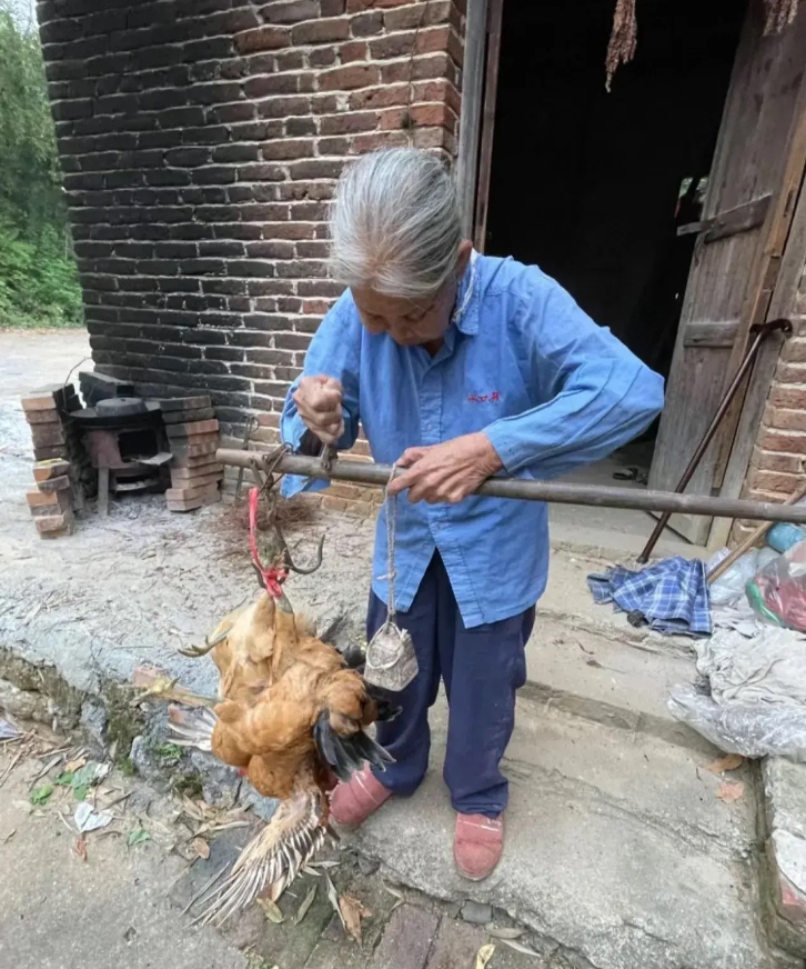 邻居养的土鸡125一只，贵不贵？