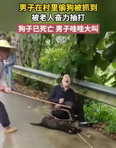 近日在广西境内发生一起因偷狗致人受伤事件。一名年轻男子进入村民家中将狗勒死后偷走