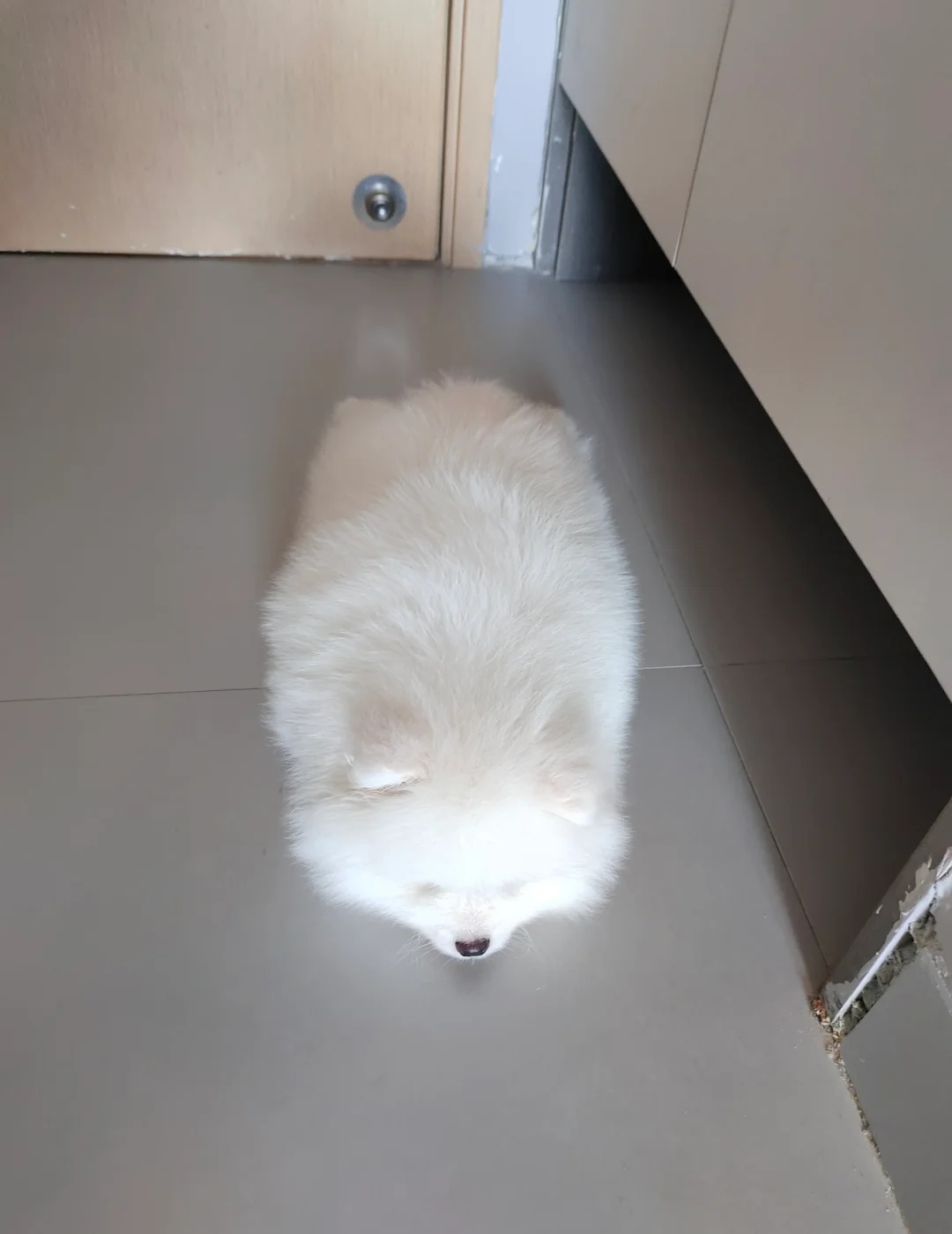 新鲜热乎的面饼
