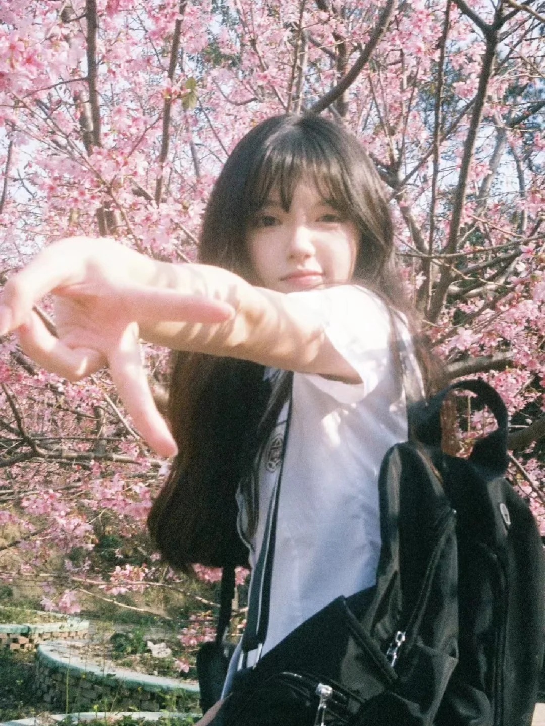 见信好 我们会在春天相见的
杭州的樱花季又快来喽