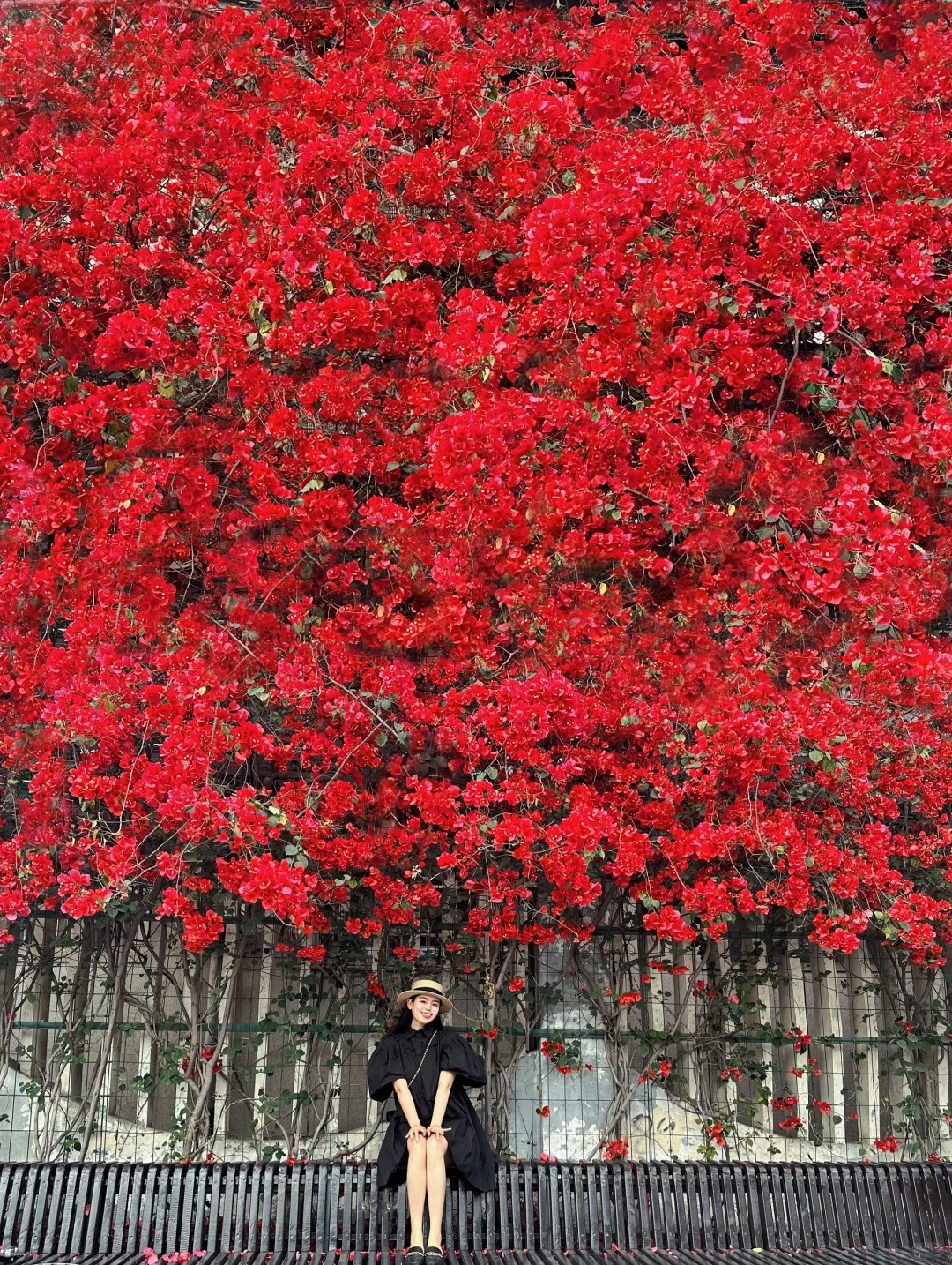 接下来的成都💐是一万次的春和景明
#用镜头捕捉初夏
#去春天里遛遛自己
最爱看